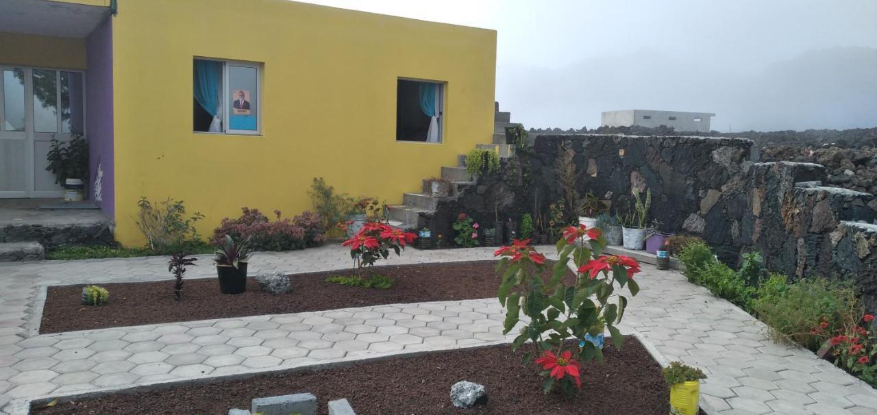 Ciza E Rose Bed & Breakfast Portela Ngoại thất bức ảnh