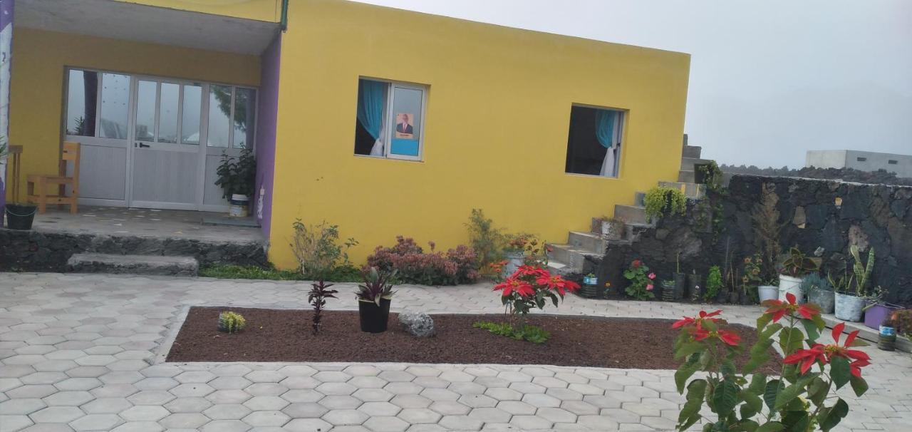 Ciza E Rose Bed & Breakfast Portela Ngoại thất bức ảnh