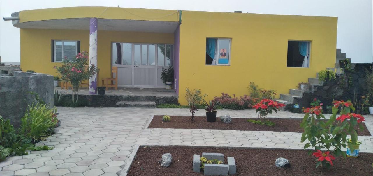 Ciza E Rose Bed & Breakfast Portela Ngoại thất bức ảnh